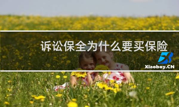 诉讼保全为什么要买保险