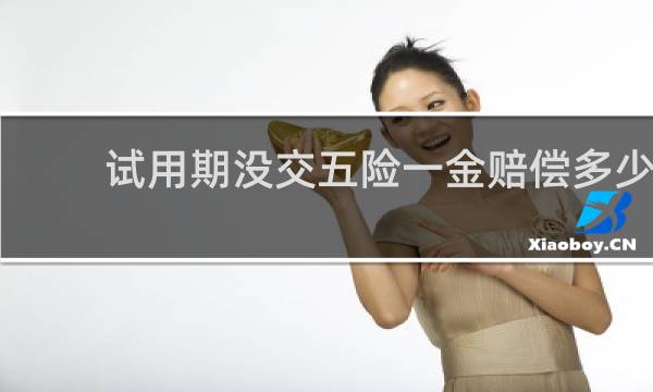 试用期没交五险一金赔偿多少图片