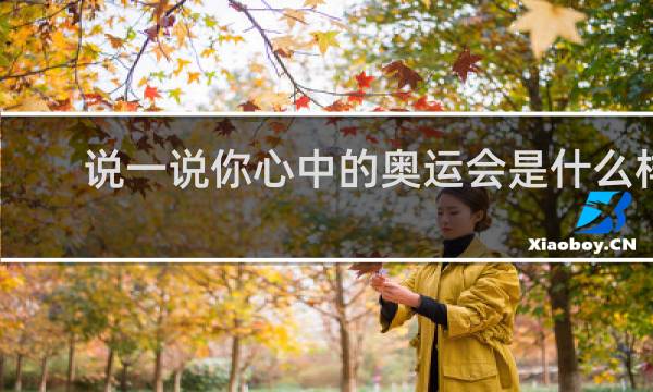 说一说你心中的奥运会是什么样的