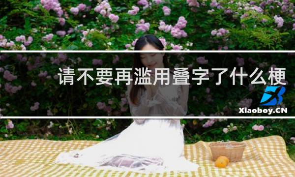 请不要再滥用叠字了什么梗