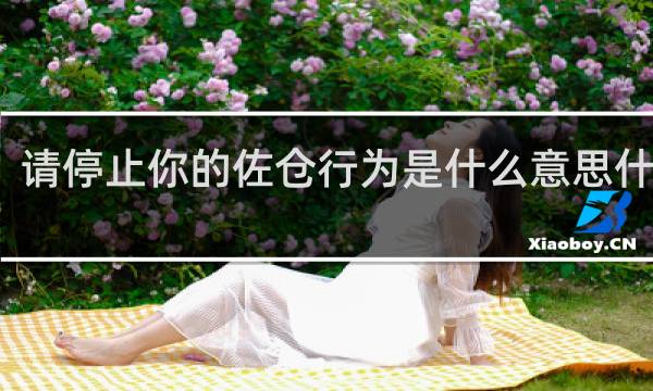 请停止你的佐仓行为是什么意思什么梗