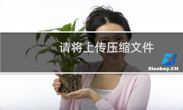 请将上传压缩文件（就一个）解压 并让主机运行