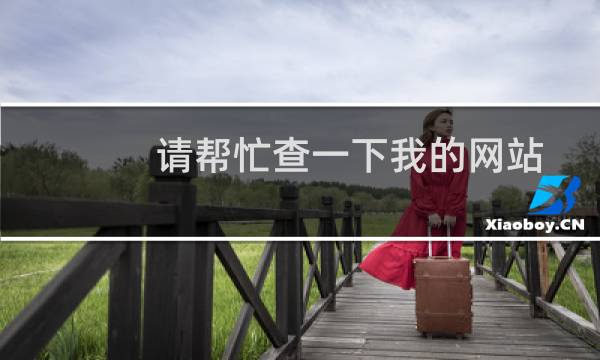 请帮忙查一下我的网站 并发量多少?