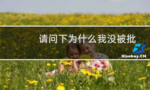 请问下为什么我没被批准？