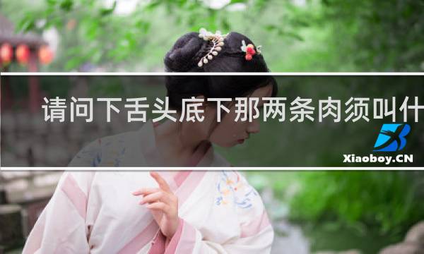 请问下舌头底下那两条肉须叫什么