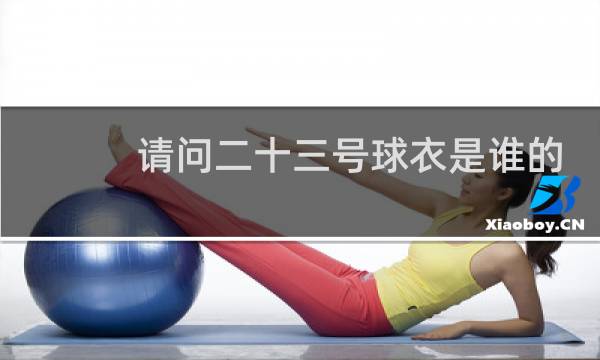 请问二十三号球衣是谁的
