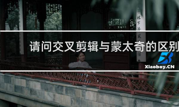 请问交叉剪辑与蒙太奇的区别