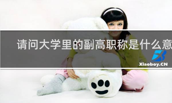 请问大学里的副高职称是什么意思