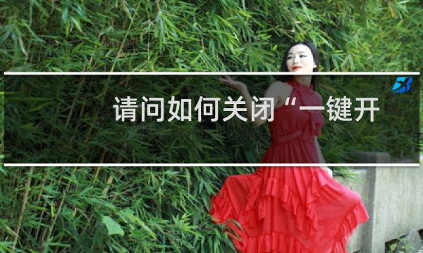 请问如何关闭“一键开启手机wap支持”