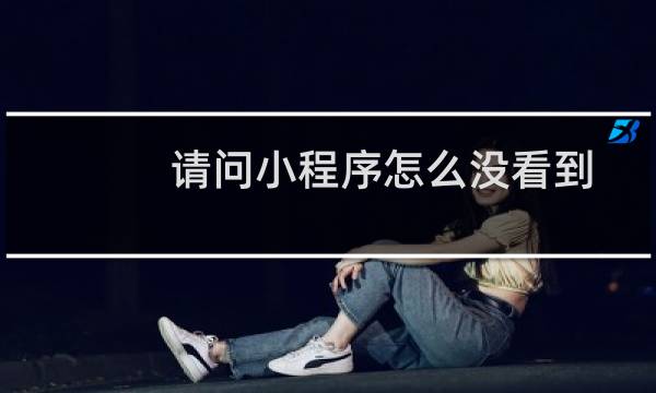 请问小程序怎么没看到投票功能的