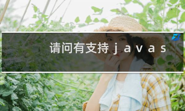 请问有支持ｊａｖａｓｃｒｉｐｔ的主机吗，