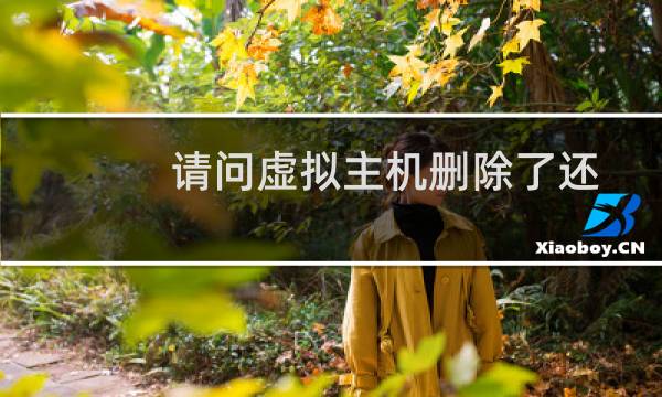 请问虚拟主机删除了还能找回么?