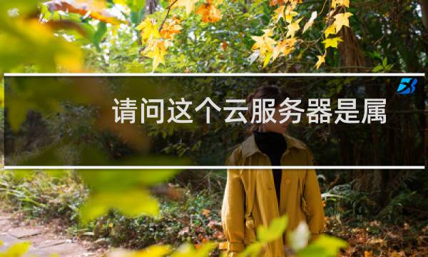 请问这个云服务器是属于什么品牌?比如cpu类型:Intel