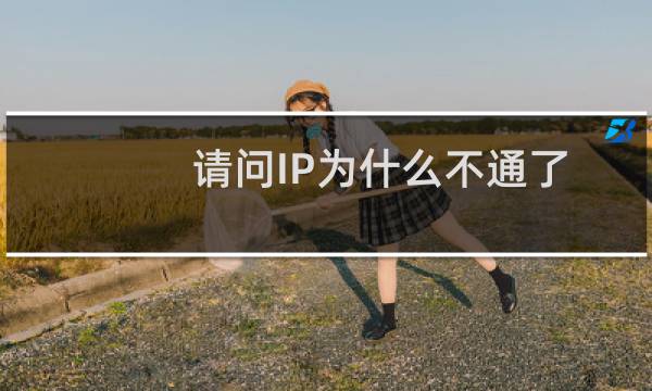 请问IP为什么不通了呢？谢谢。