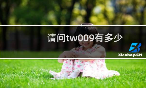 请问tw009有多少进程数量?
