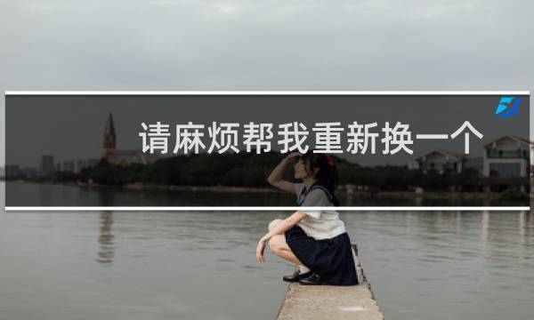 请麻烦帮我重新换一个IP