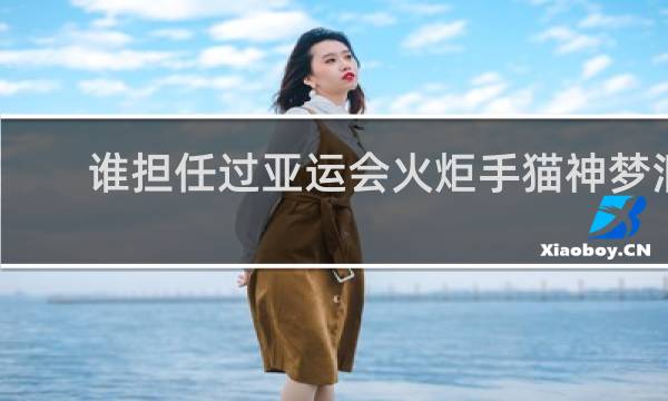 谁担任过亚运会火炬手猫神梦泪