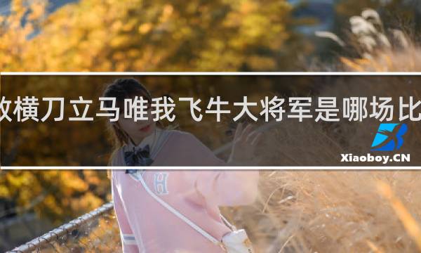 谁敢横刀立马唯我飞牛大将军是哪场比赛什么梗