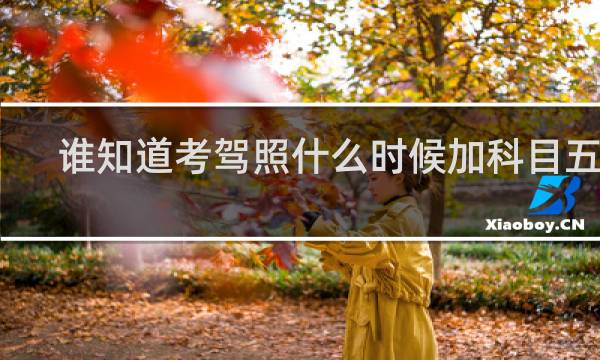 谁知道考驾照什么时候加科目五啊