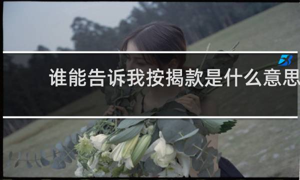 谁能告诉我按揭款是什么意思