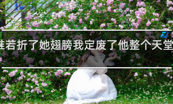 谁若折了她翅膀我定废了他整个天堂什么梗