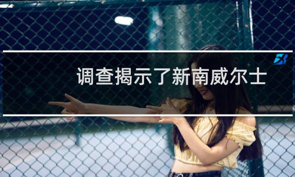 调查揭示了新南威尔士州校长面临的巨大挑战