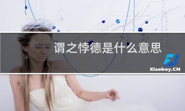 谓之悖德是什么意思