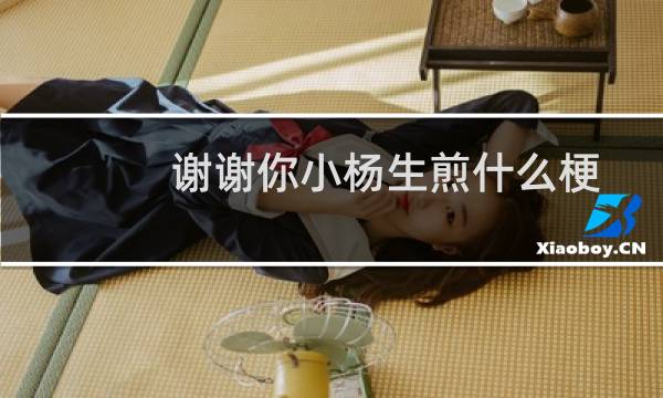 谢谢你小杨生煎什么梗
