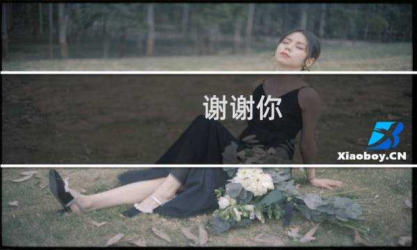 谢谢你，美队什么梗