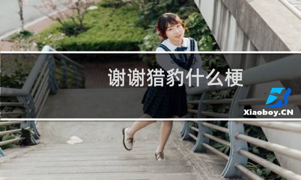 谢谢猎豹什么梗