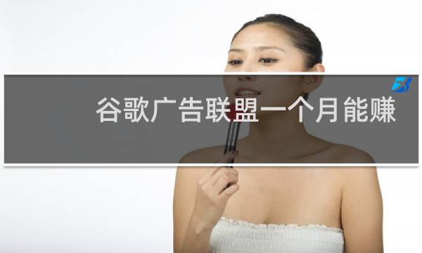 谷歌广告联盟一个月能赚多少
