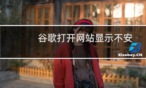 谷歌打开网站显示不安全-虚拟主机/数据库问题