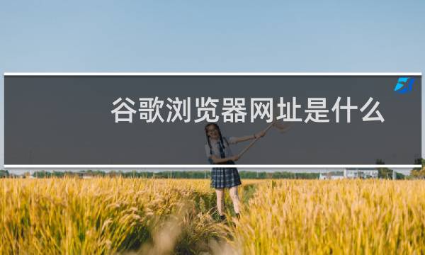 谷歌浏览器网址是什么?