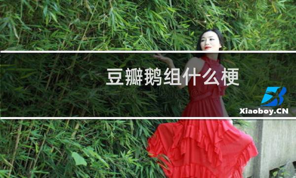豆瓣鹅组什么梗