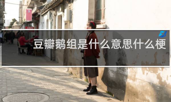 豆瓣鹅组是什么意思什么梗