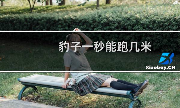 豹子一秒能跑几米
