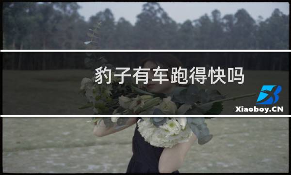 豹子有车跑得快吗