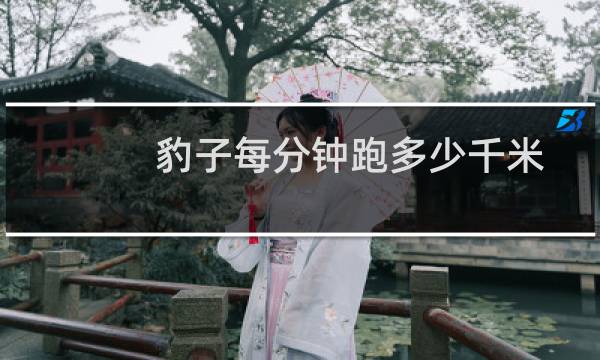 豹子每分钟跑多少千米