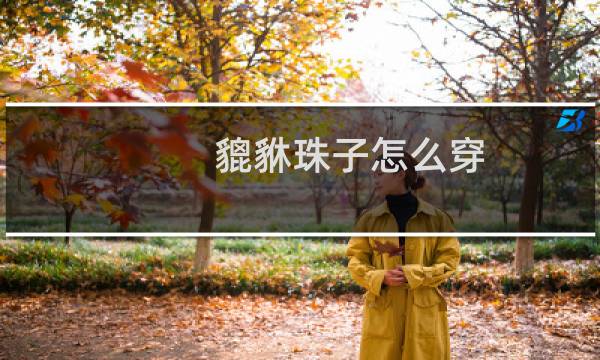 貔貅珠子怎么穿