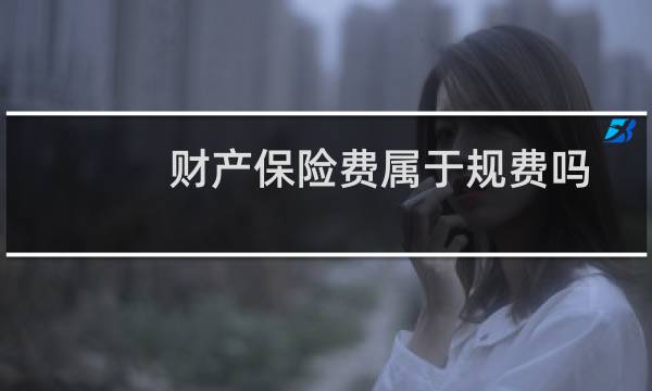 财产保险费属于规费吗