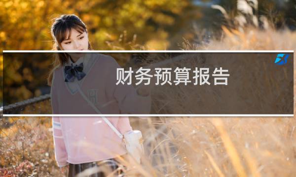 财务预算报告图片