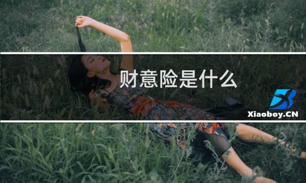 财意险是什么