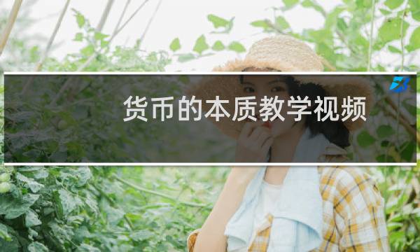货币的本质教学视频（货币的本质）图片