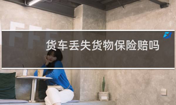 货车丢失货物保险赔吗