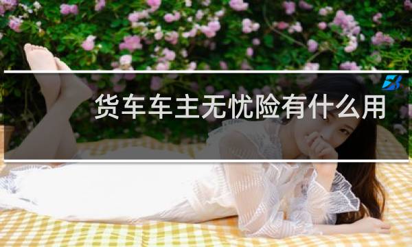 货车车主无忧险有什么用