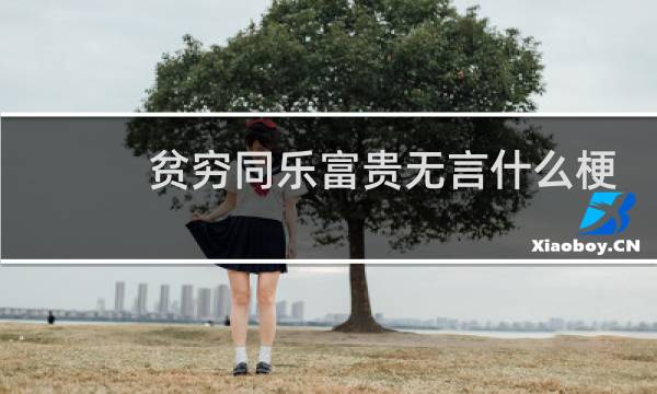 贫穷同乐富贵无言什么梗