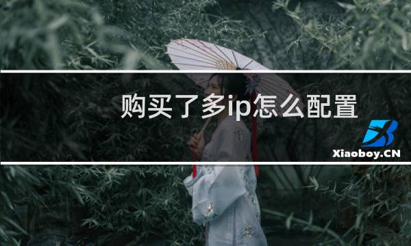购买了多ip怎么配置-云服务器问题
