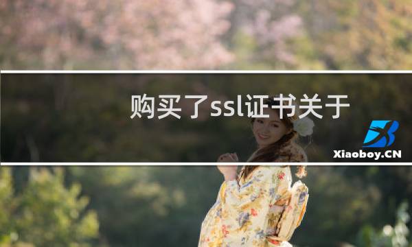 购买了ssl证书关于子域名解析问题