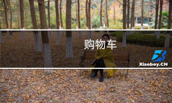 购物车，不仅仅是购物车