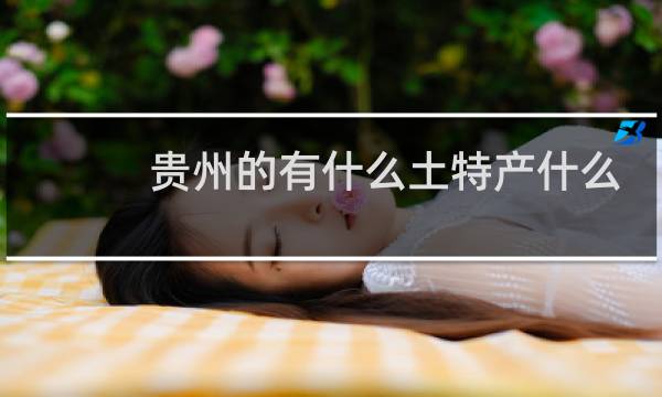 贵州的有什么土特产什么图片